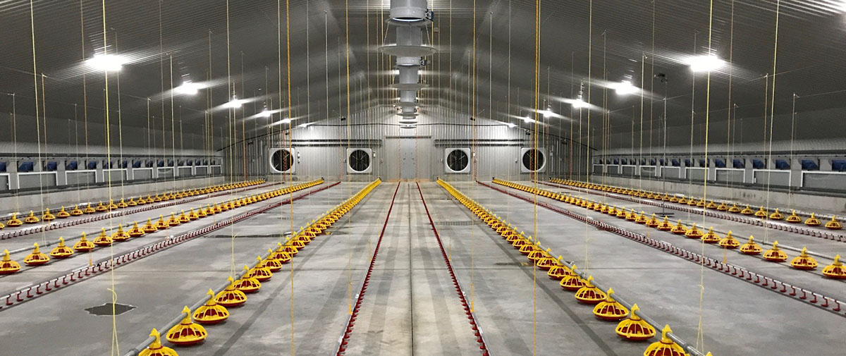 Broiler Houses Clarke Construction broiler-houses-clarke-construction