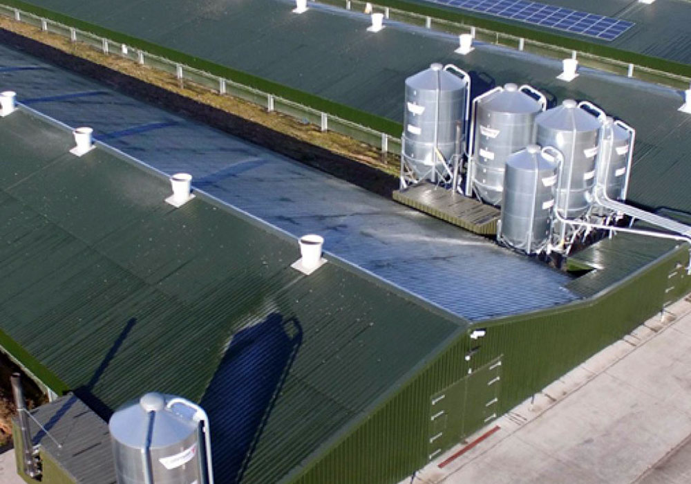 Poultry Buildings