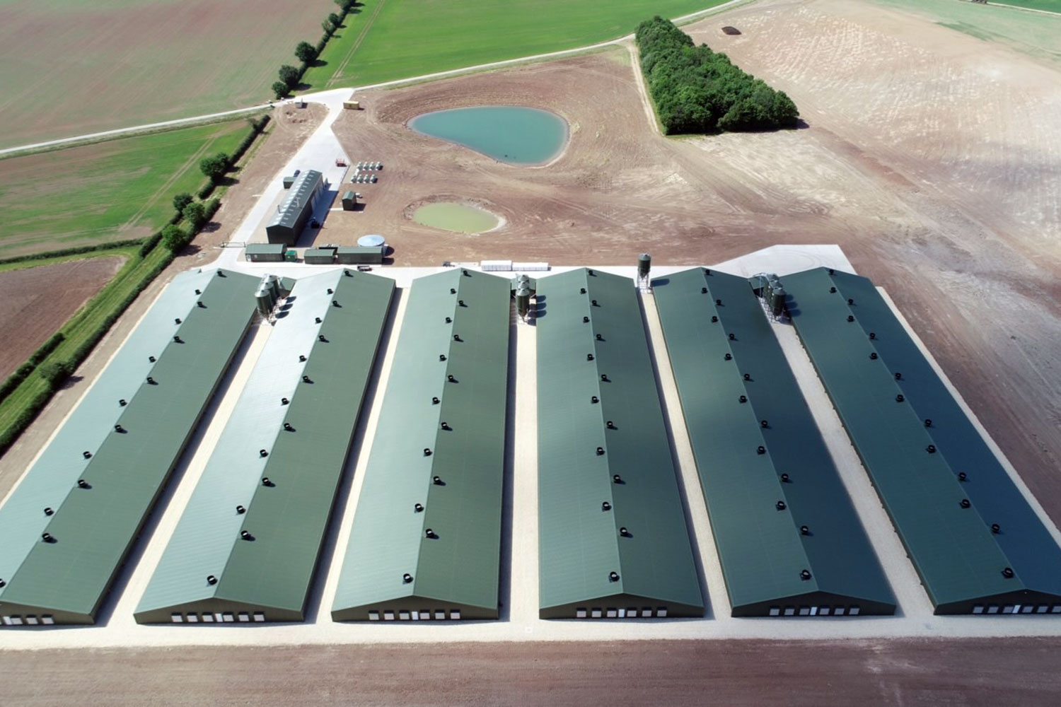 Tuxford Poultry Houses